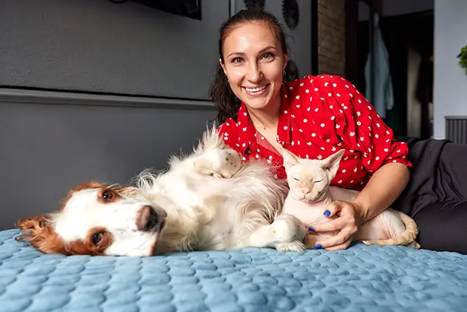dog and cat enjoying love and care with their pet sitter.webp