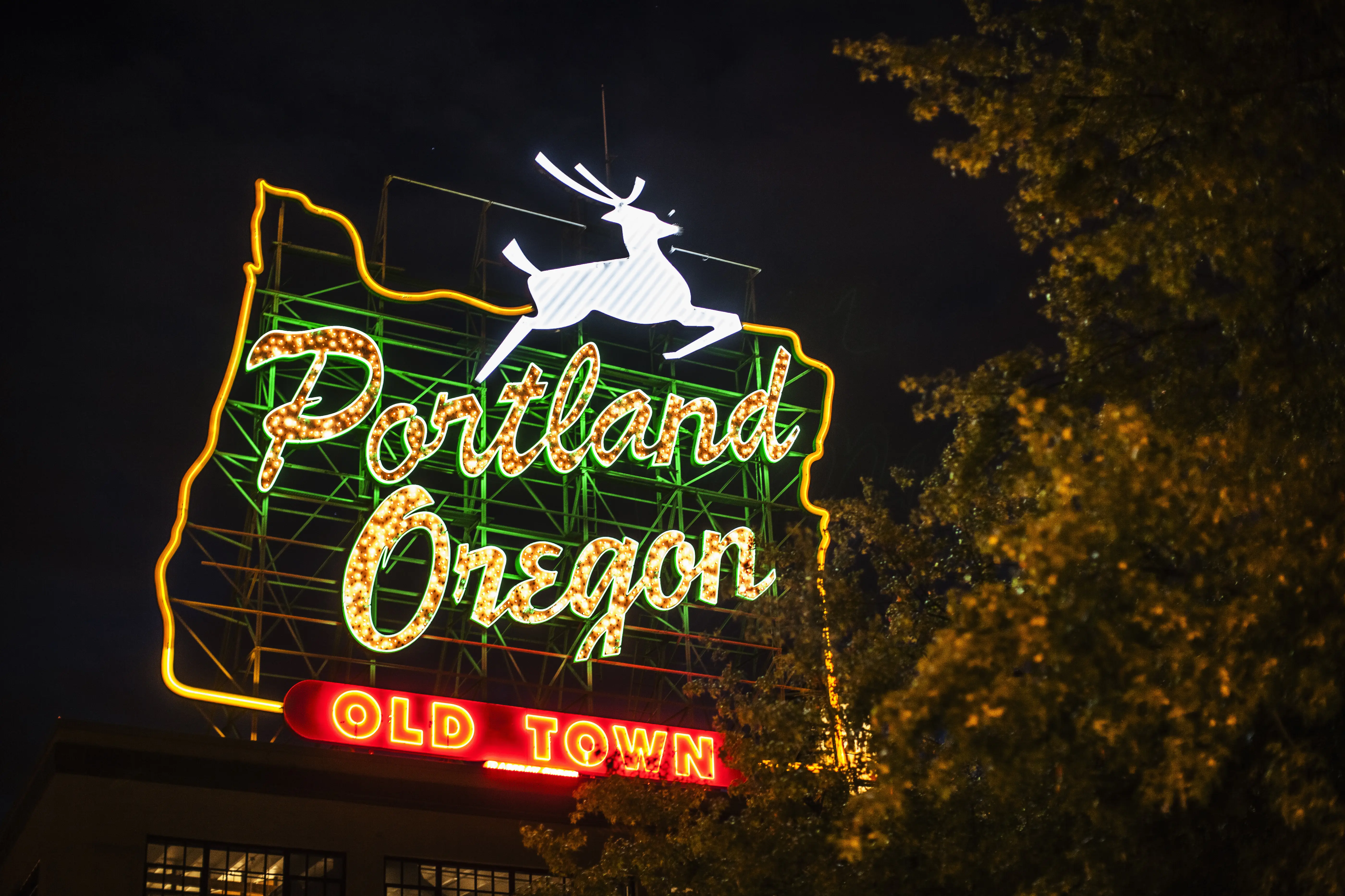 Dog training and pet sitting services in Portland, Oregon