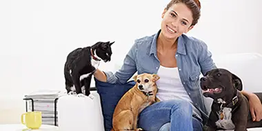 Dog relaxed and happy at home with his professional pet sitter in Portland, OR
